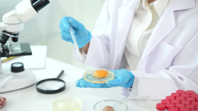 Scientist testing egg samples in a food safety laboratory, performing quality control, contamination screening, and nutritional analysis to ensure consumer health and product standards