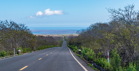 Obraz premium Road leading toward the coastline on Santa Cruz Island in the Galapagos
