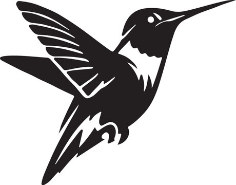 vector illustration of a bird