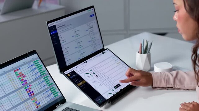 Accountant Reviews Year-end Financial Statements Using Software