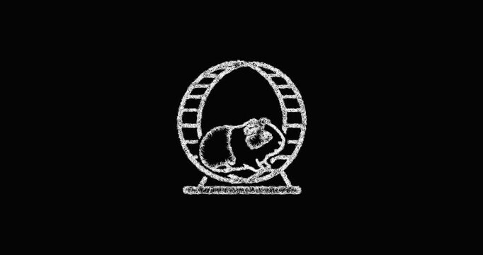 Sketch guinea pig wheel icon animation - smooth progressive reveal