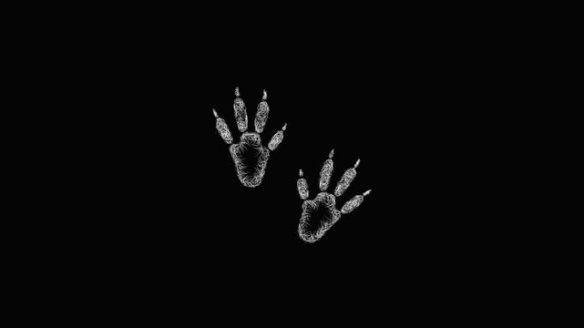 Sketch guinea pig footprint icon animation - smooth progressive reveal