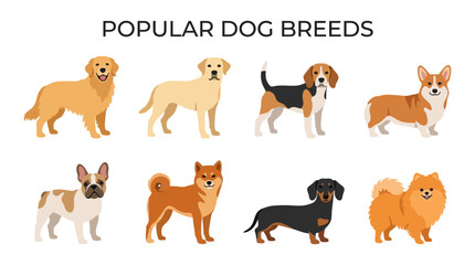 Obraz premium Popular Dog Breeds Flat Vector Illustration Set