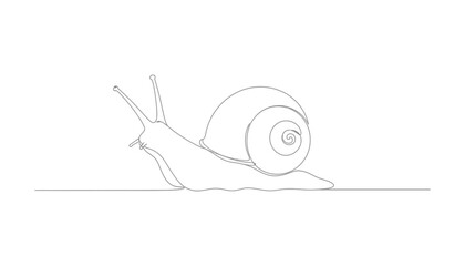 Snail moving on ground © MOHAMMAD ALI