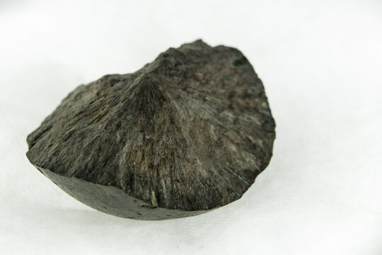 Closeup mineral stone: phosphorite rock formation in the form of radial concretion, on white background (shallow DOF)