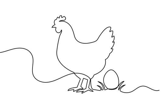Chicken with egg continuous line drawing minimalist vector illustration for farm logo