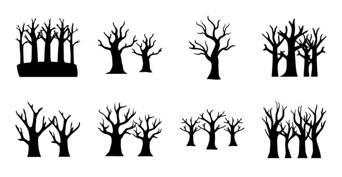 Leafless trees in winter forest setting - A collection of bare trees arranged in a grid, ideal for winter or autumn themes, with a clean and minimalist design style.