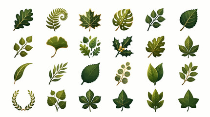 Collection of 16 Diverse Green Leaf Illustrations, Including Oak, Fern, Maple, Monstera, Holly, and Laurel Wreath, Flat Vector Graphics with Subtle Watercolor Texture © Sumini