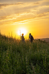 Fototapeta premium Couple silhouetted against golden sunset in lush green field, Banswara, Udaipur, Rajasthan