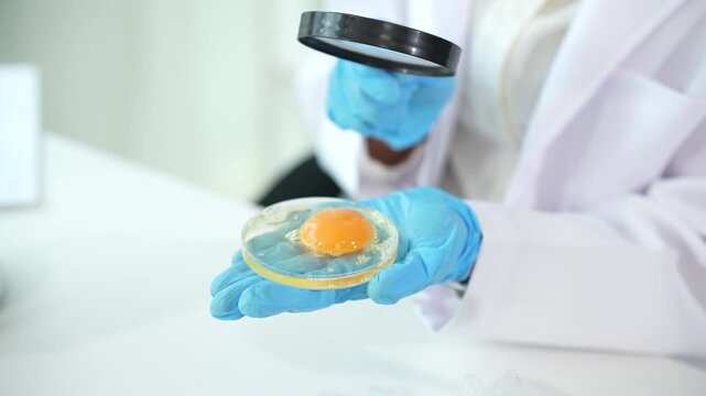 Scientist testing egg samples in a food safety laboratory, performing quality control, contamination screening, and nutritional analysis to ensure consumer health and product standards