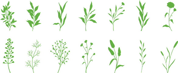 Fototapeta premium Minimal green plant sprout set with delicate botanical branches leaves and herbs in clean modern style for eco branding natural design and decorative compositions. Fresh organic elements for print and