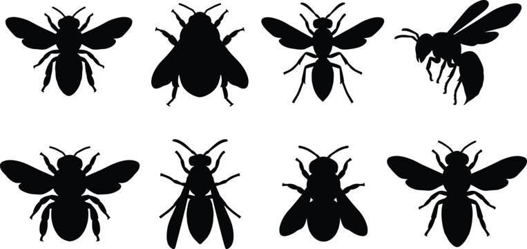 Collection of eight black silhouettes of bees and wasps isolated on a white background