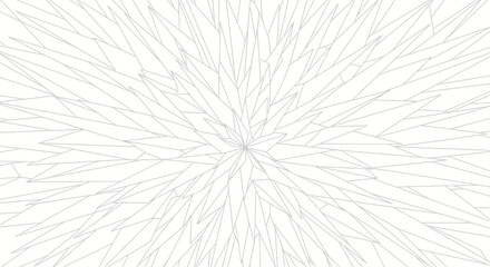 Obraz premium Abstract Geometric Burst Pattern