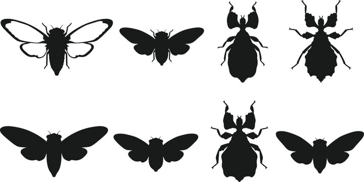 Set of black silhouettes of various insects including cicadas and leaf insects isolated on a white background