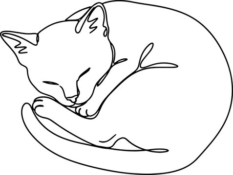 159_A kitten sleeping pose c_traced