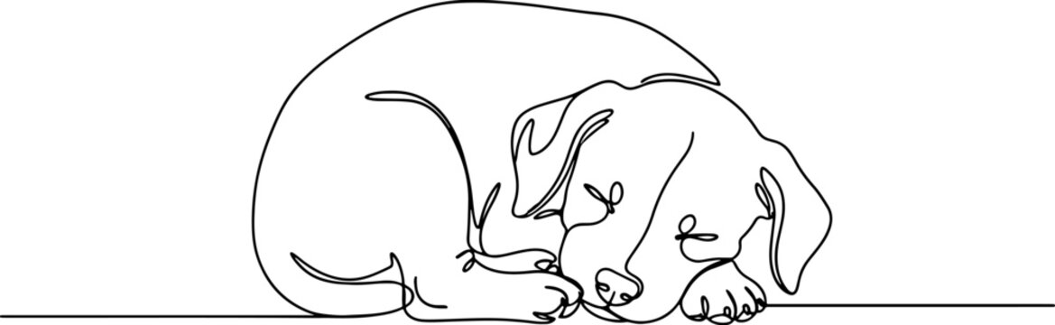 158_A puppy sleeping pose co_traced