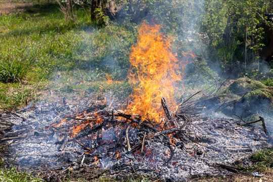 Bright orange fire burning dry wooden twigs and branches with lot of smoke and ash on green grass during spring garden cleanup outdoor concept.