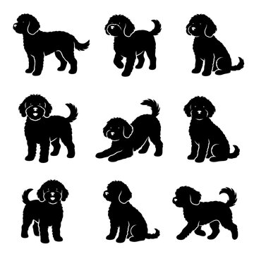 black and white silhouette vector set of Cavapoo dog