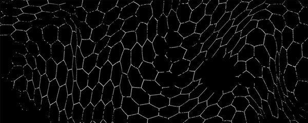 Black wired mesh texture isolated on white background. © Ariel