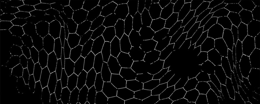 Black wired mesh texture isolated on white background.