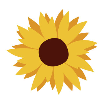Sunflower countryside. Simply flower illustration, Vector