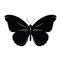 Fototapeta premium Black Butterfly Silhouette Isolated on White Background for Minimalist Design Projects