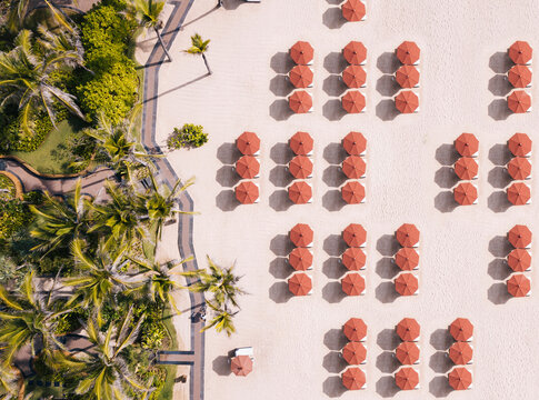 Indonesia, Bali, Aerial view of umbrellas and palms on beach