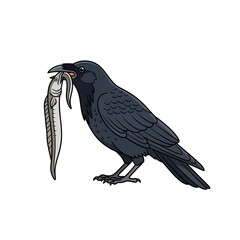 Obraz premium Black Crow Holding a Fish in Beak