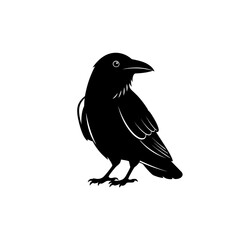Obraz premium Black Raven Silhouette Vector Illustration
