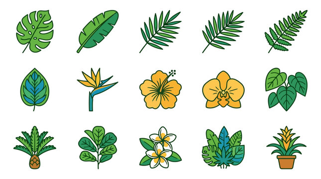 Collection of various tropical leaves.