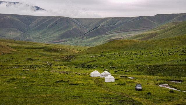Landscape Kazachstan, Assi, mountain, green, trees, fog, horse, river, flowing, 