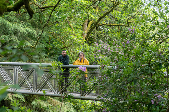 Couple enjoying nature walk on bridge in forest