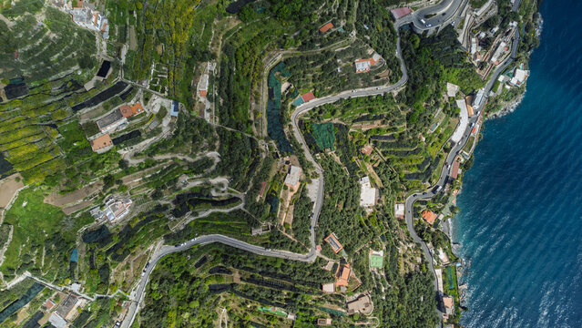 TopDown View of Ravello's Green Terraced Landscape and Coast, I