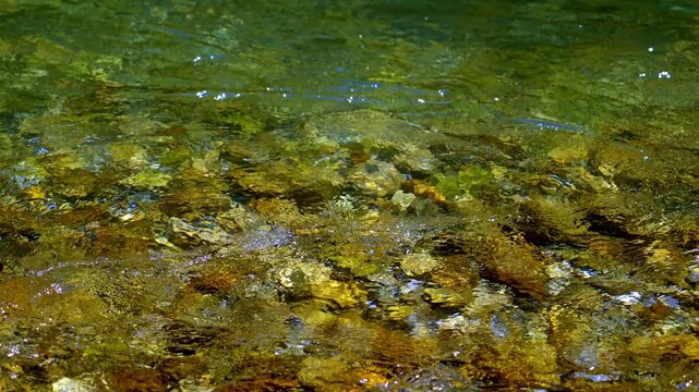 Crystal-clear river water reveals colorful stones beneath the surface, with gentle ripples and sparkling reflections captured in stunning 4K.
