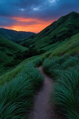 Fototapeta premium Narrow footpath cutting through tall grass at twilight