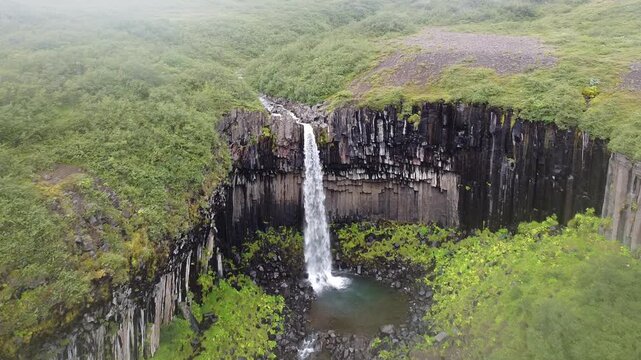 Push In Shot on Iceland Svartifoss Waterfall