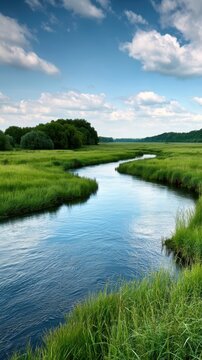 Vertical meandering river through lush summer marshland background for wallpaper and poster with blue sky reflections and peaceful green landscape design