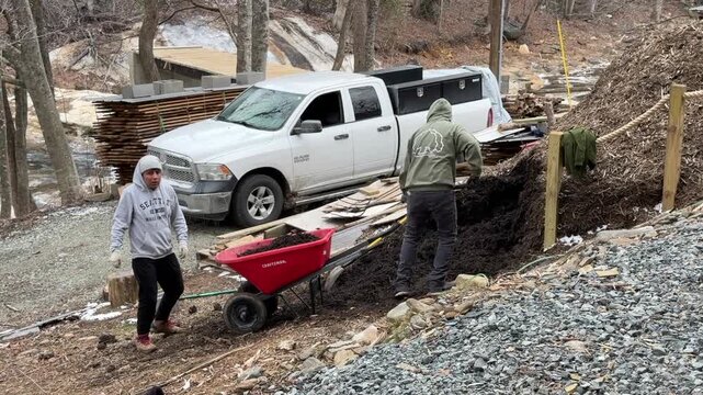 Shoveling mulch into a wheel barrow