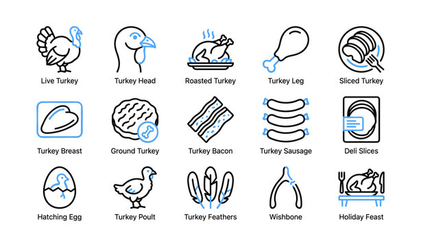 Turkey icons depicting live and prepared meat items on white