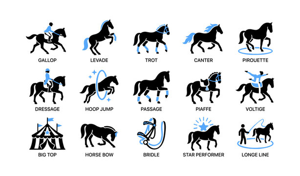 Equestrian movement icons showing horse gaits and dressage on white