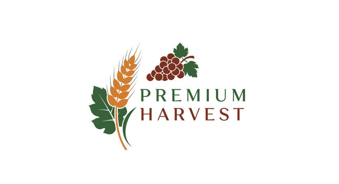 Premium harvest brand identity with wheat