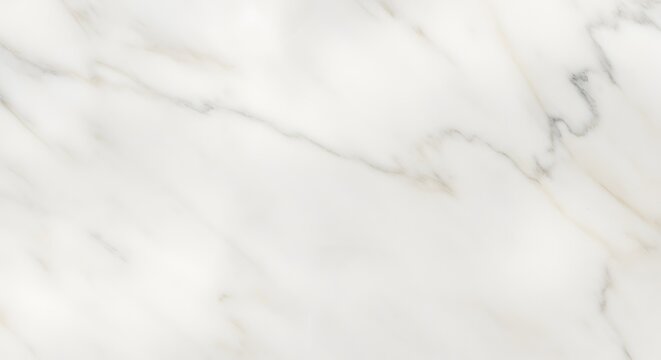 Floating White Feathers on Transparent Background Minimalist Decoration