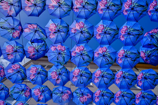 Blue umbrellas above the street