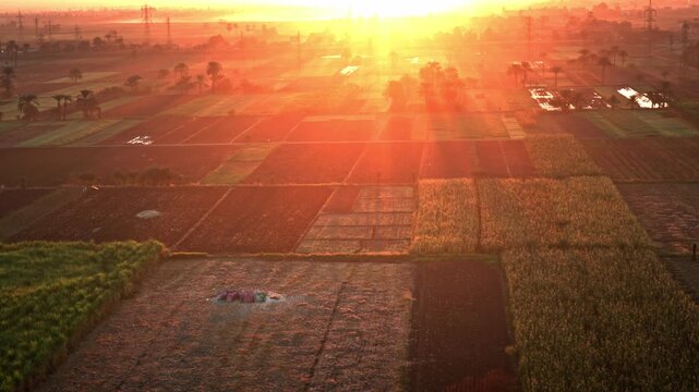 An aerial, golden-hour view capturing the vibrant, patchwork agricultural fields of Luxor, Egypt, at sunrise.