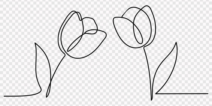One line drawing tulip flower
Tulip flower continuous one line drawing
Minimalist tulip line art illustration, Tulip one line drawing. Flower one line. Abstract flower continuous line. Minimalist 