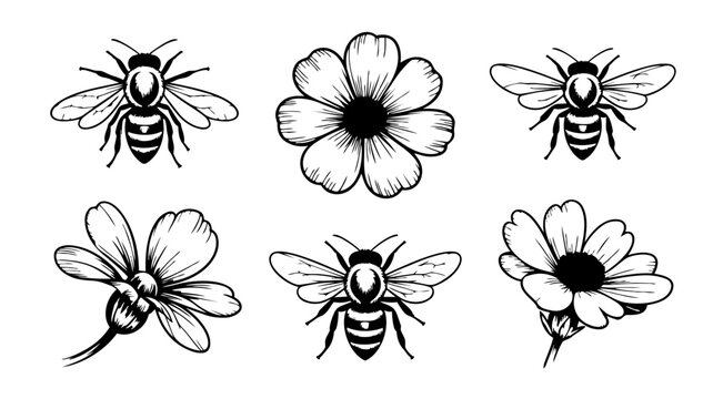 Floral Ornament With Bees And Flowers Black And White Vector Illustration bee