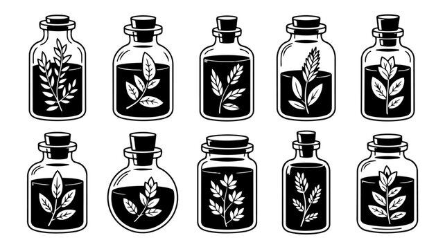 Bottles Containing Botanical Specimens Black And White Vector Illustration Collection apothecary herbarium