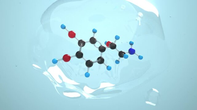 Norepinephrine (Noradrenaline) molecule 3D 4k animation in the bubble. ProRes 4444.