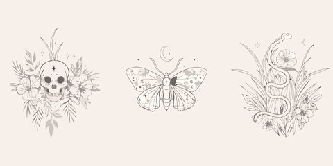 Floral skull moth and snake illustrations delicate line art triptych © Topoti