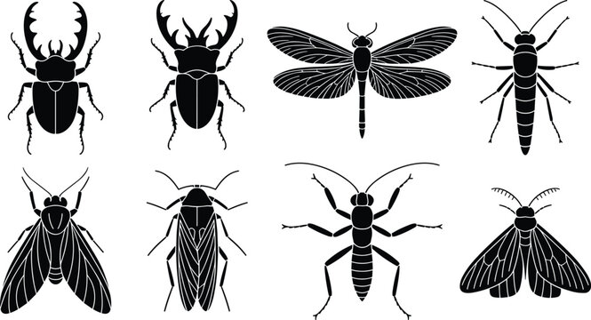 Insect Silhouette Icons Set with Beetles, Dragonfly, Grasshopper, Fly, Cicada, Earwig, and Moth